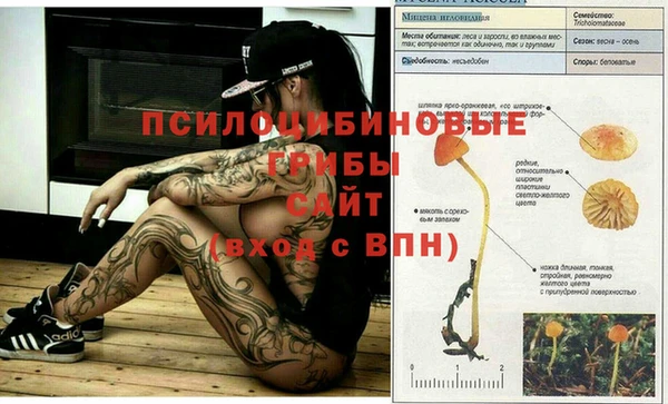 твердый Алзамай
