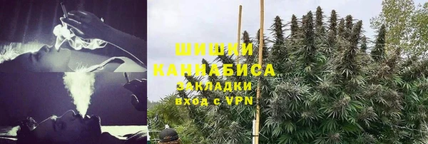 стаф Алексеевка