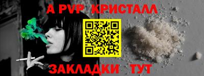 стаф Новодвинск