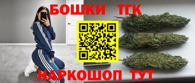 стаф Новодвинск