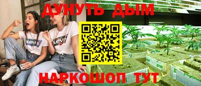 стаф Новодвинск