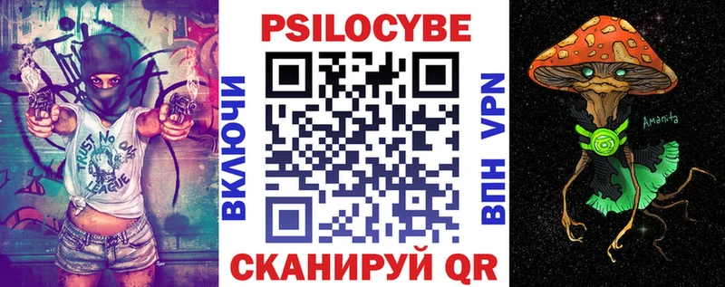 площадка телеграм  Чистополь  Галлюциногенные грибы Psilocybine cubensis 