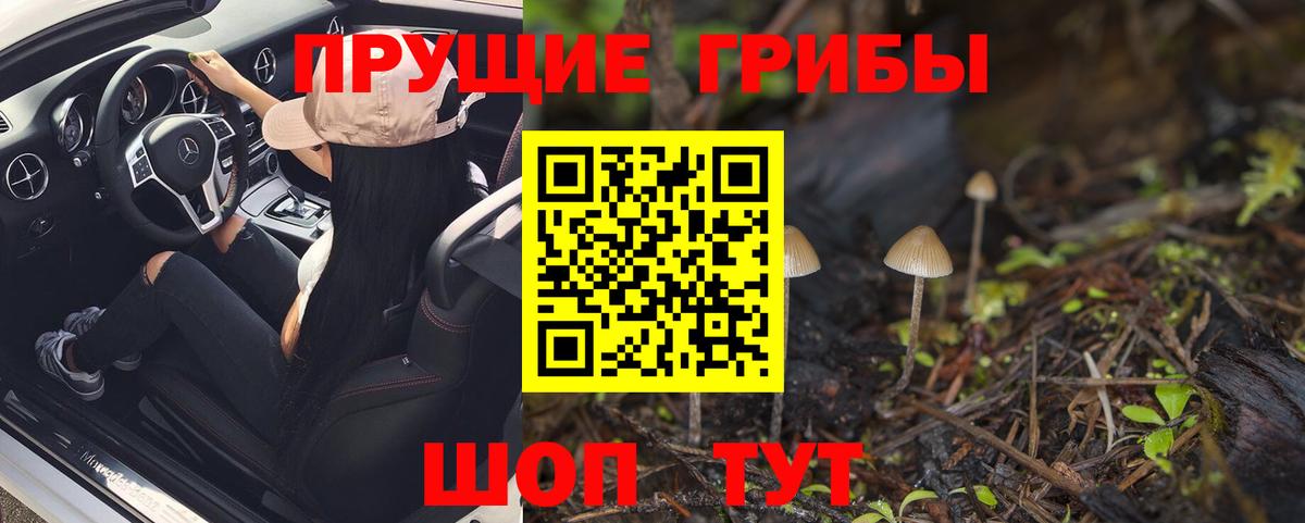Чистополь  Псилоцибиновые грибы GOLDEN TEACHER  где найти   Вход с VPN  Псилоцибиновые грибы Cubensis 